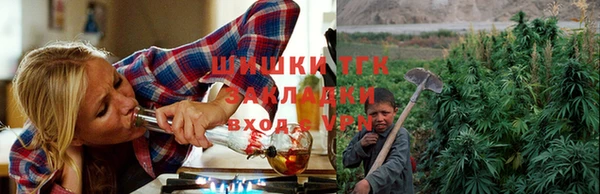 стафф Беломорск