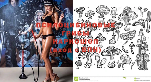 гидропоника Белоозёрский