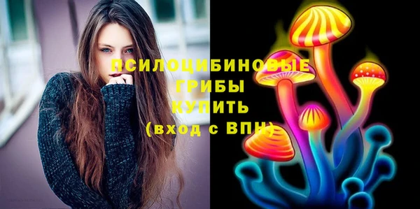 гидропоника Белоозёрский