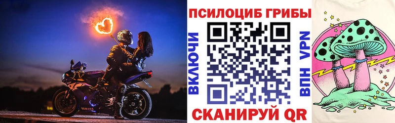 Псилоцибиновые грибы Psilocybine cubensis  Верхний Уфалей 