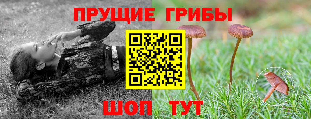 Галлюциногенные грибы Magic Shrooms Верхний Уфалей
